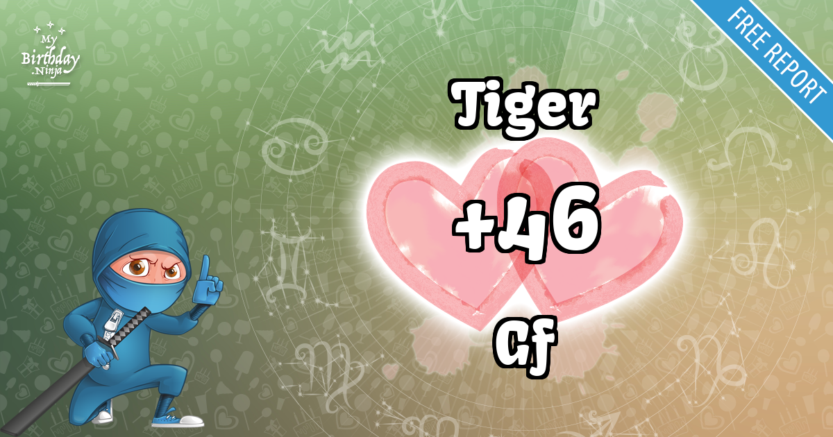 Tiger and Gf Love Match Score
